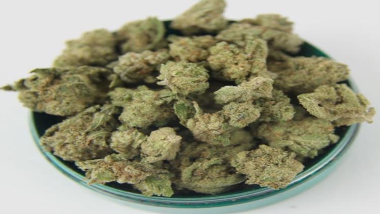 Order Edibles Online in Canada for Discreet, Tasty Relief Options 11 Edibles